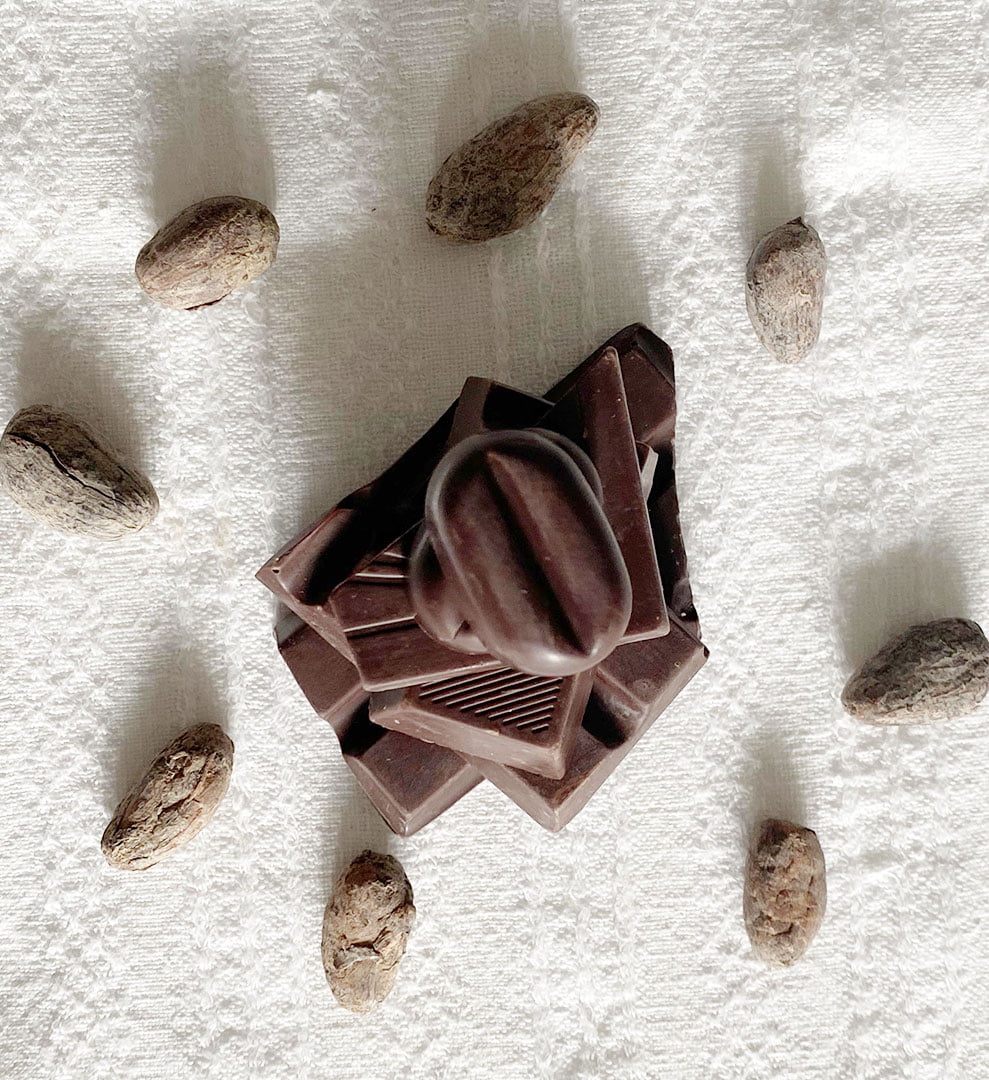 cacao_motum_momotombo_4