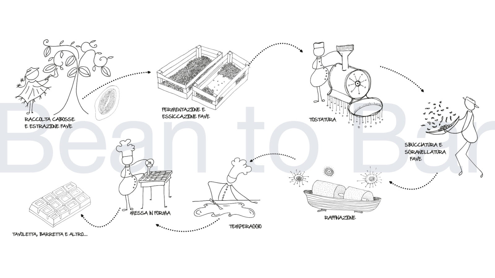 glossario-cacao-e-cioccolato-esempio-processo