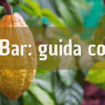 bean-to-bar-guida-completa