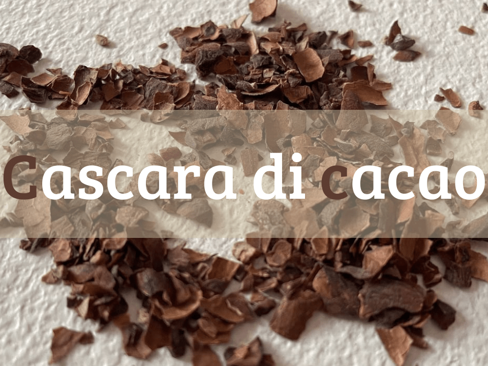 cascara-di-caca-particolare