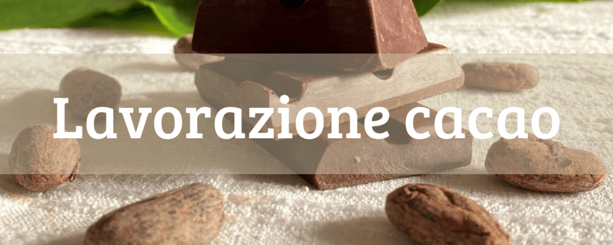 lavorazione-cacao