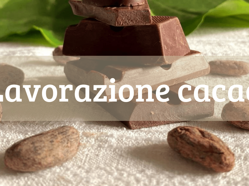 lavorazione-cacao