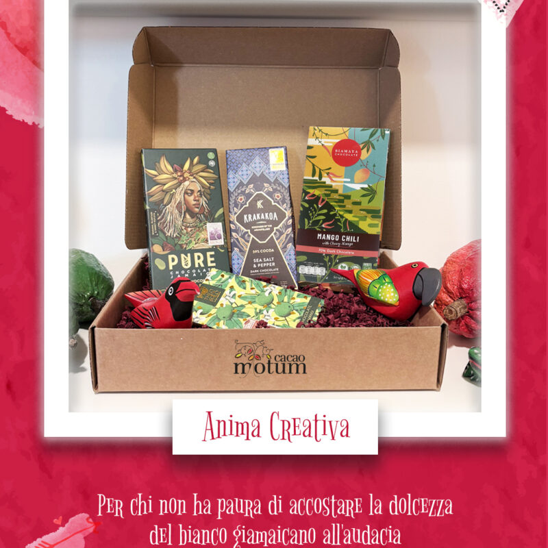 Box Anima Creativa