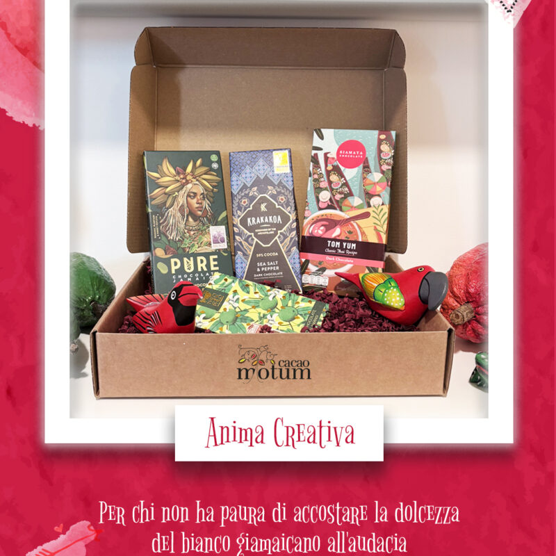 Box Anima Creativa