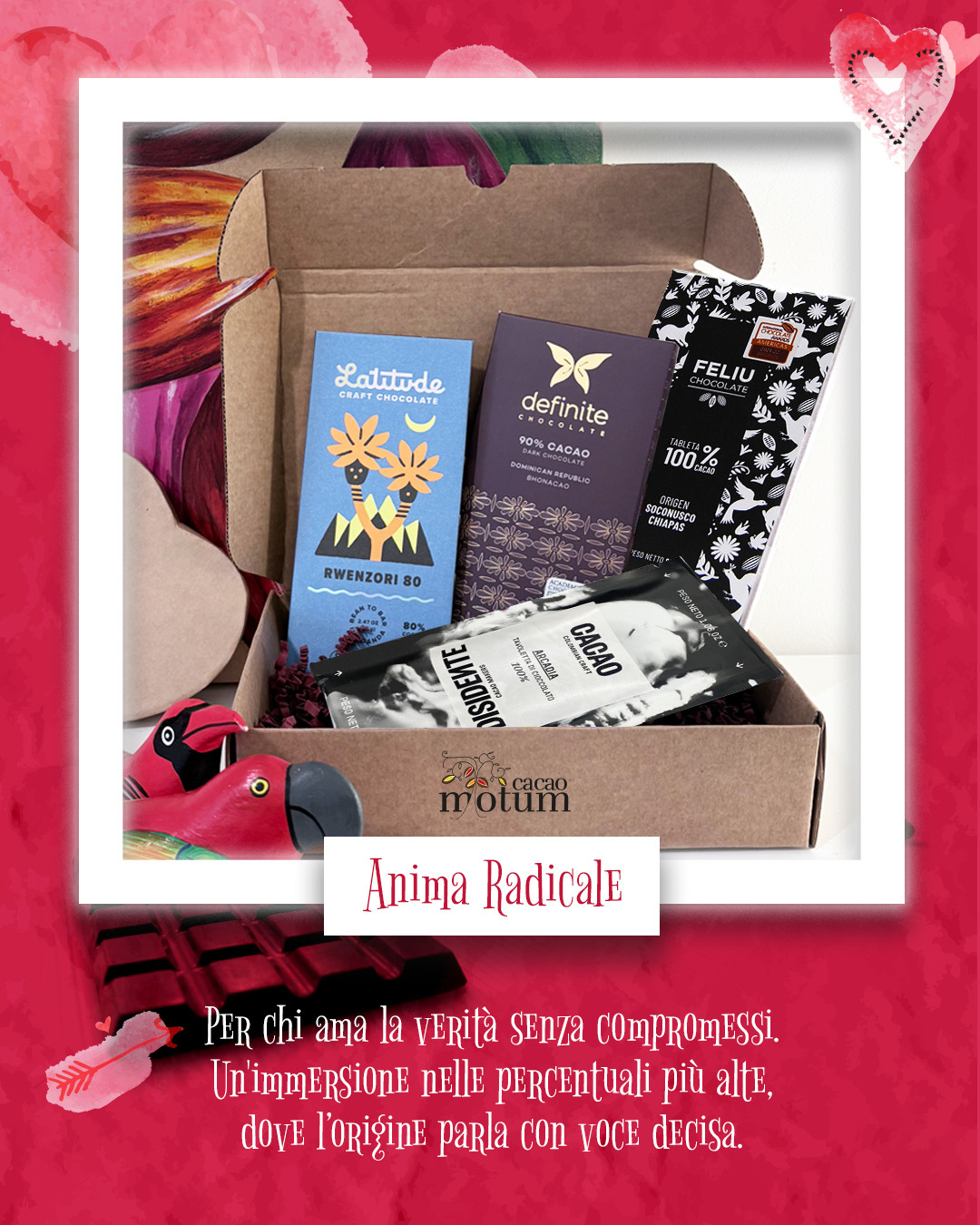 Box Anima Radicale